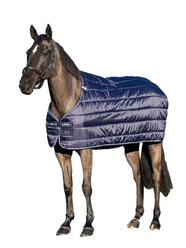 LeMieux 100g Blanket Liner, blanket liner sized 72"