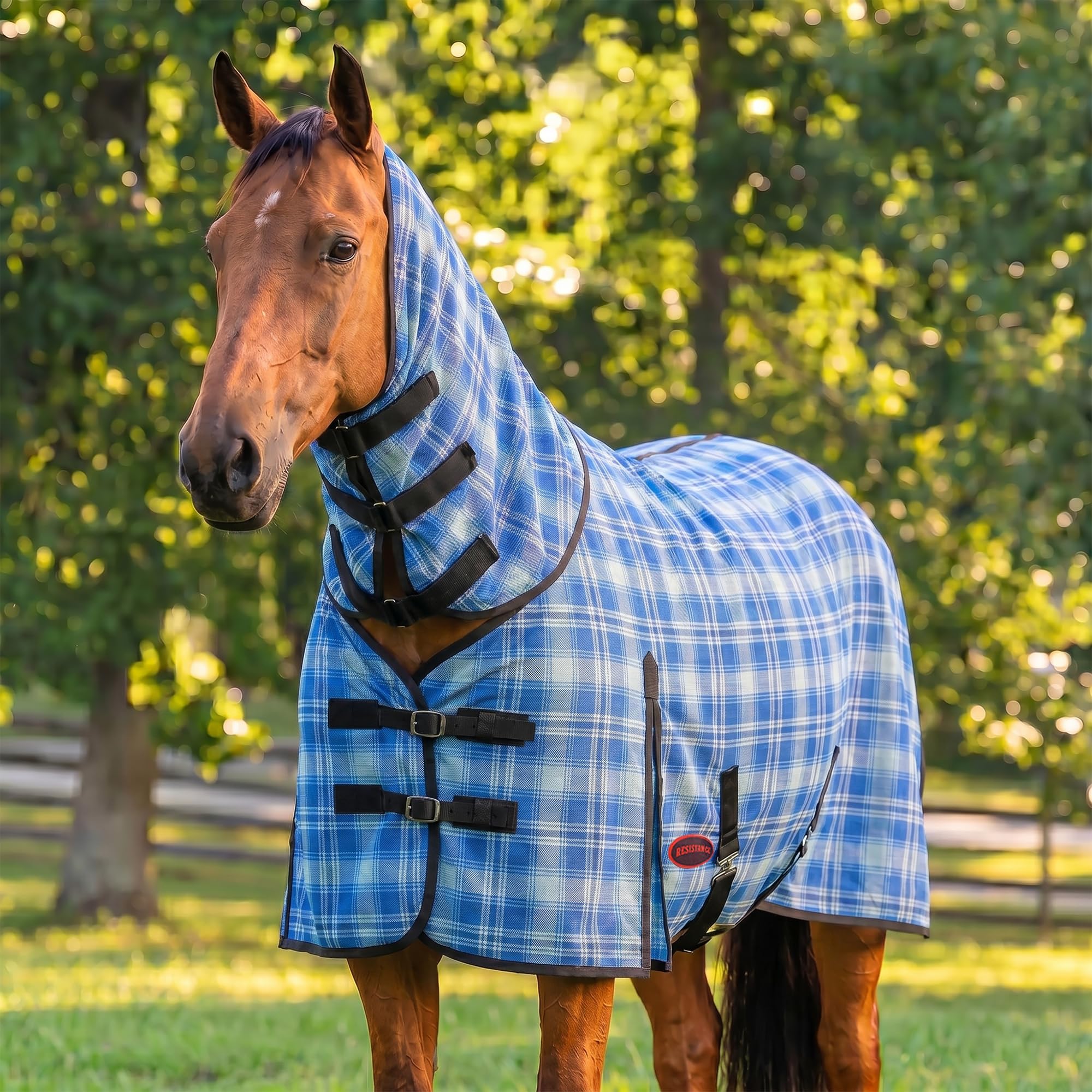 RESISTANCE Fly Sheet for Horses with Neck Cover Durable PVC Hard Mesh Fly Rug, fly sheet sized 76"